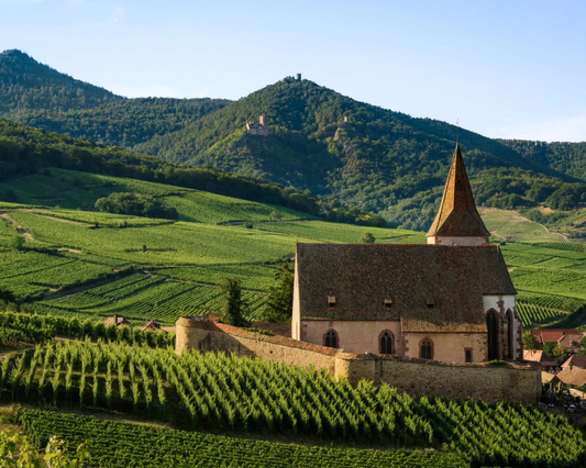 Was bedeutet „Grand Cru“ wirklich?